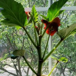 Meet your Posher, Olga